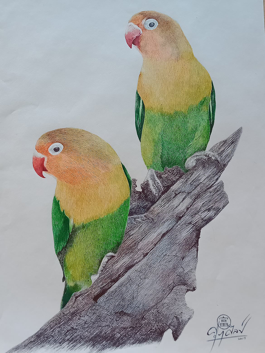 Parrots
