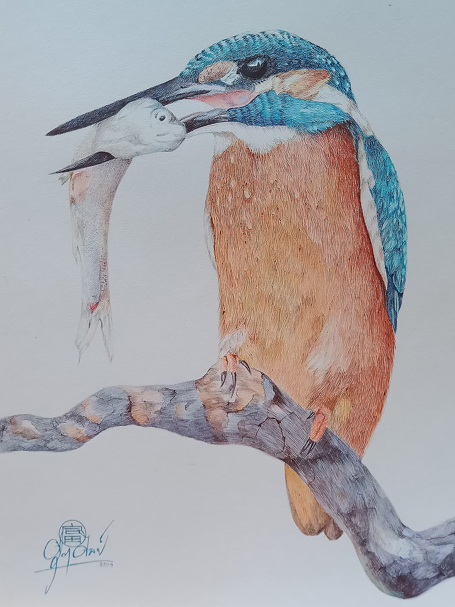 The Kingfisher