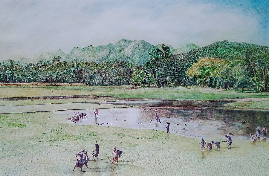 Life In The Farm