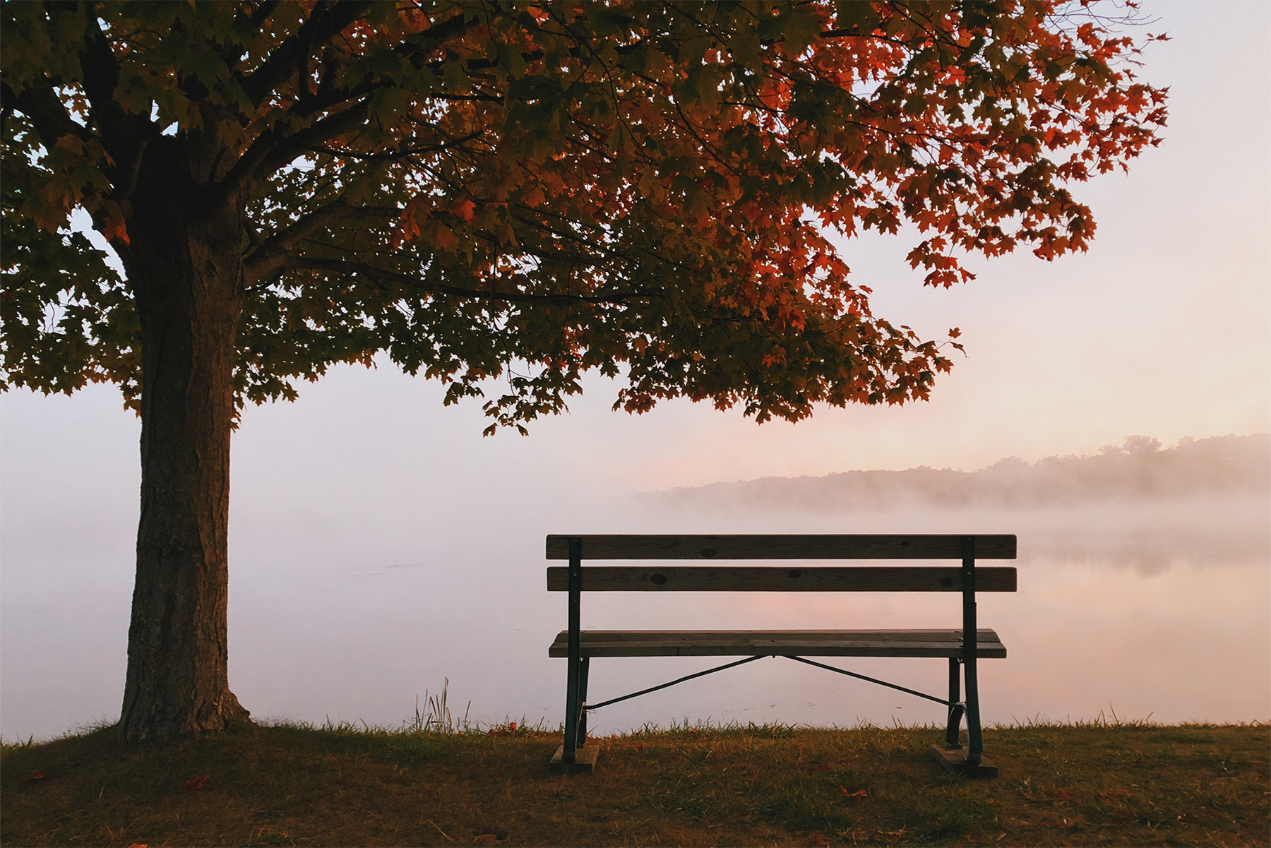 Autumn