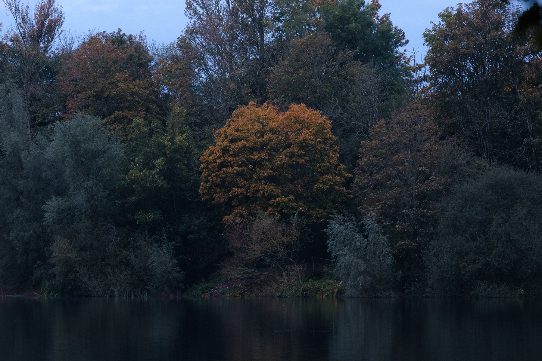 Exquisite Scenery