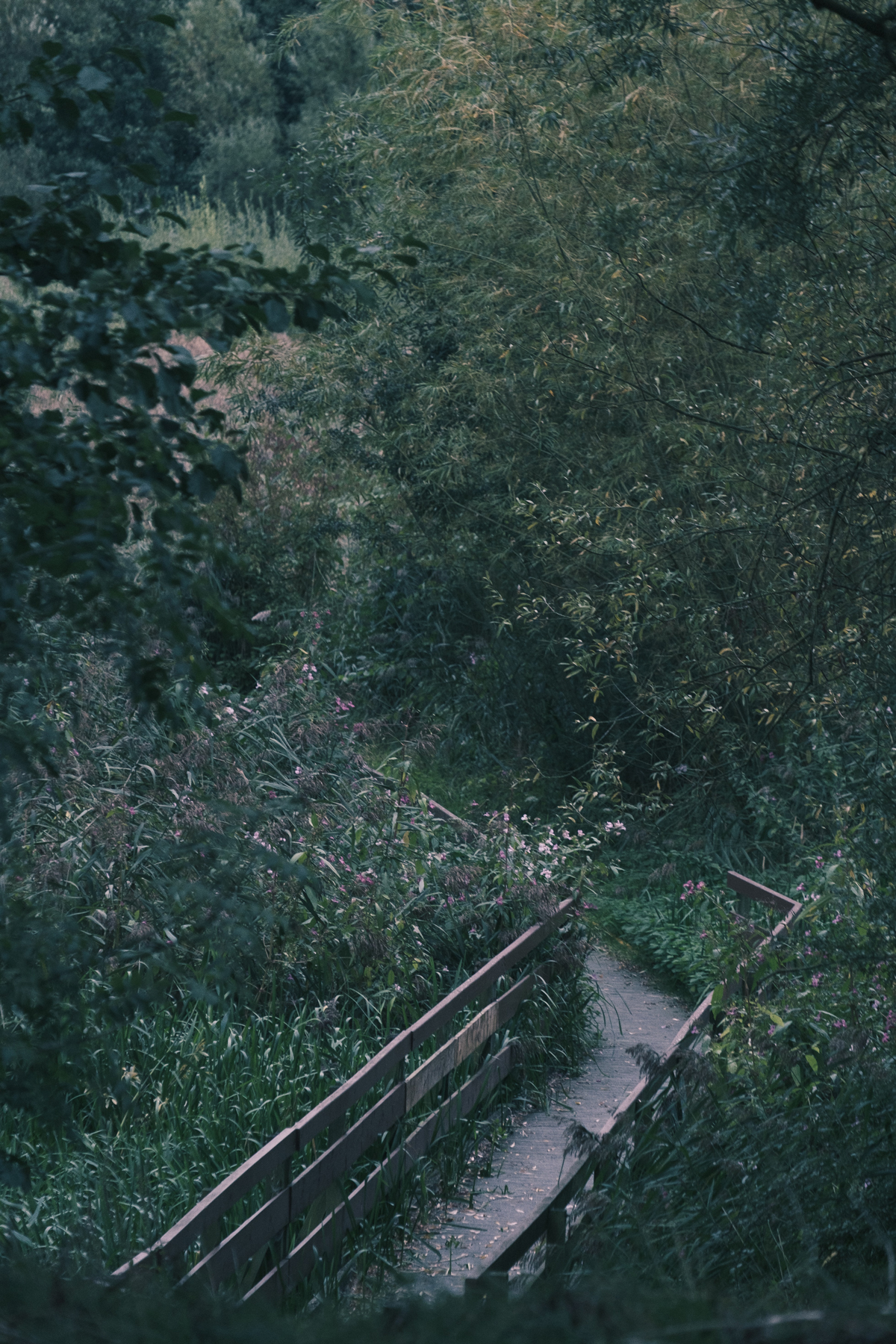 Exquisite Scenery