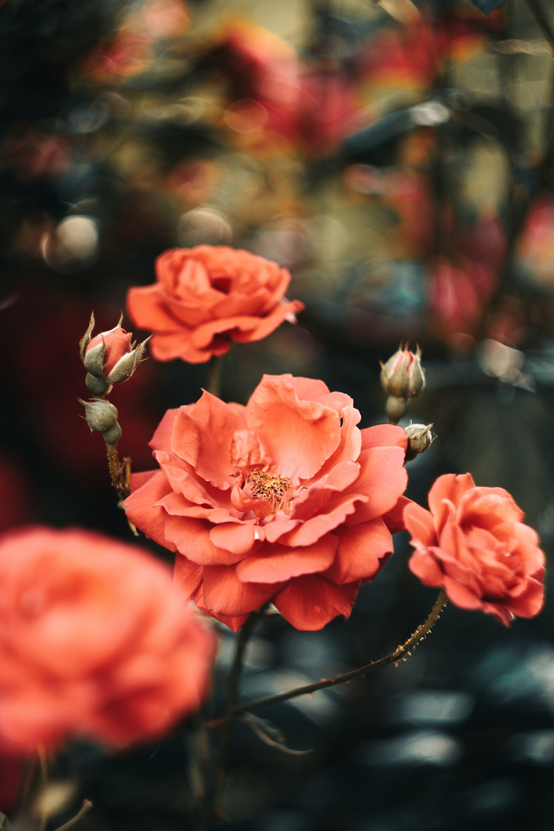 Unspoken Words Of Beauty