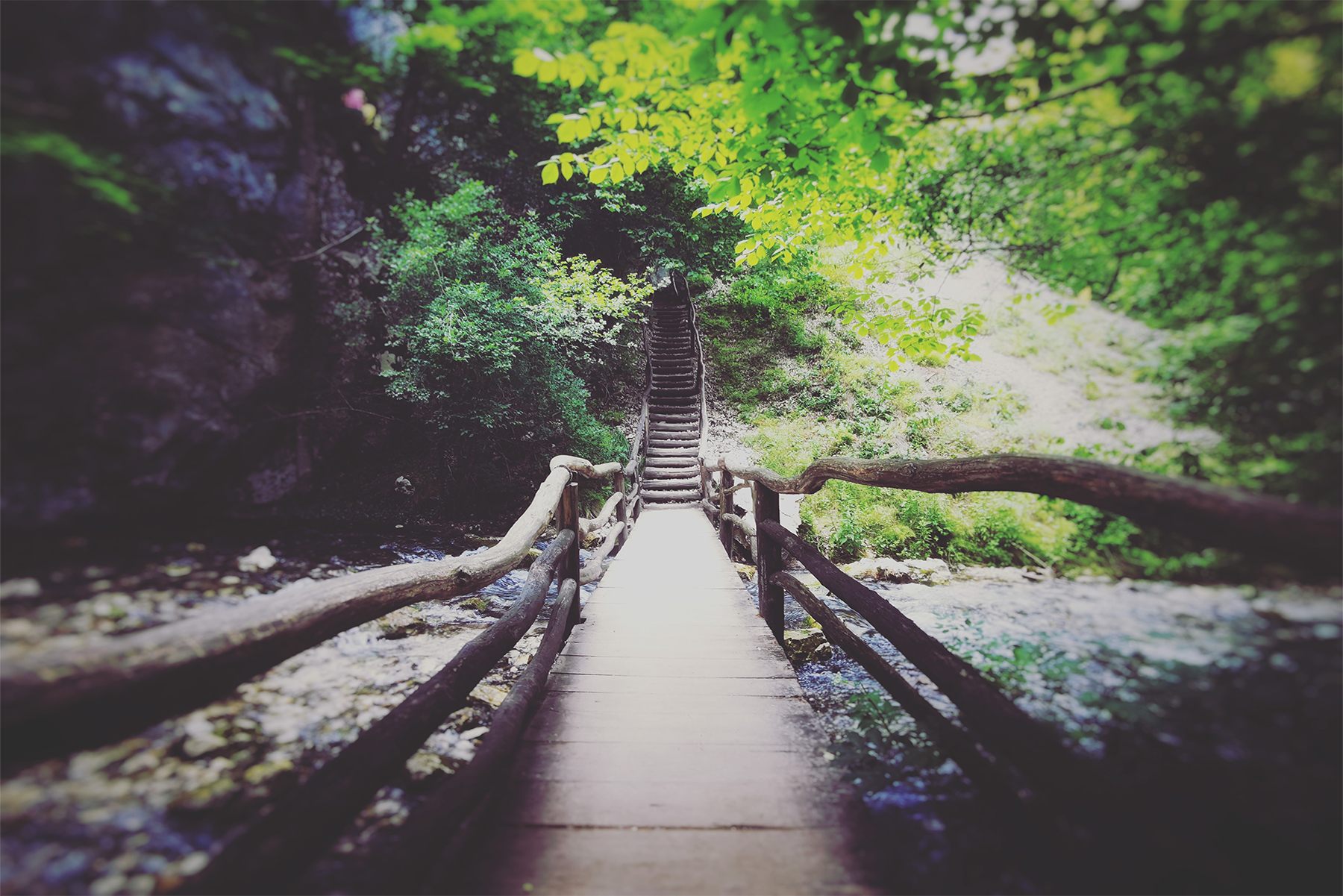Hook On A Trail