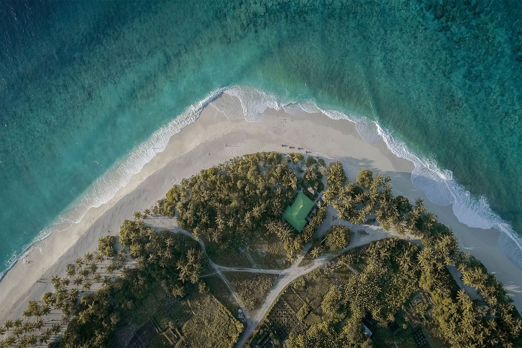 A Taste Of Paradise