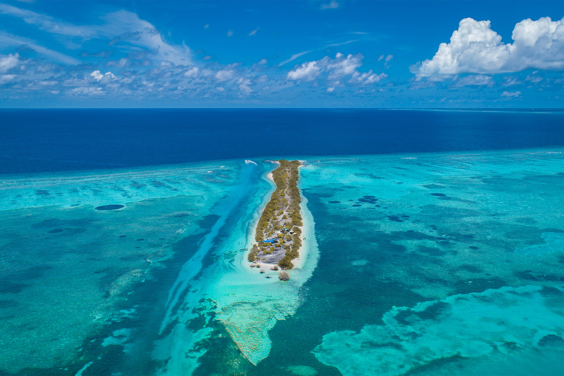A Taste Of Paradise