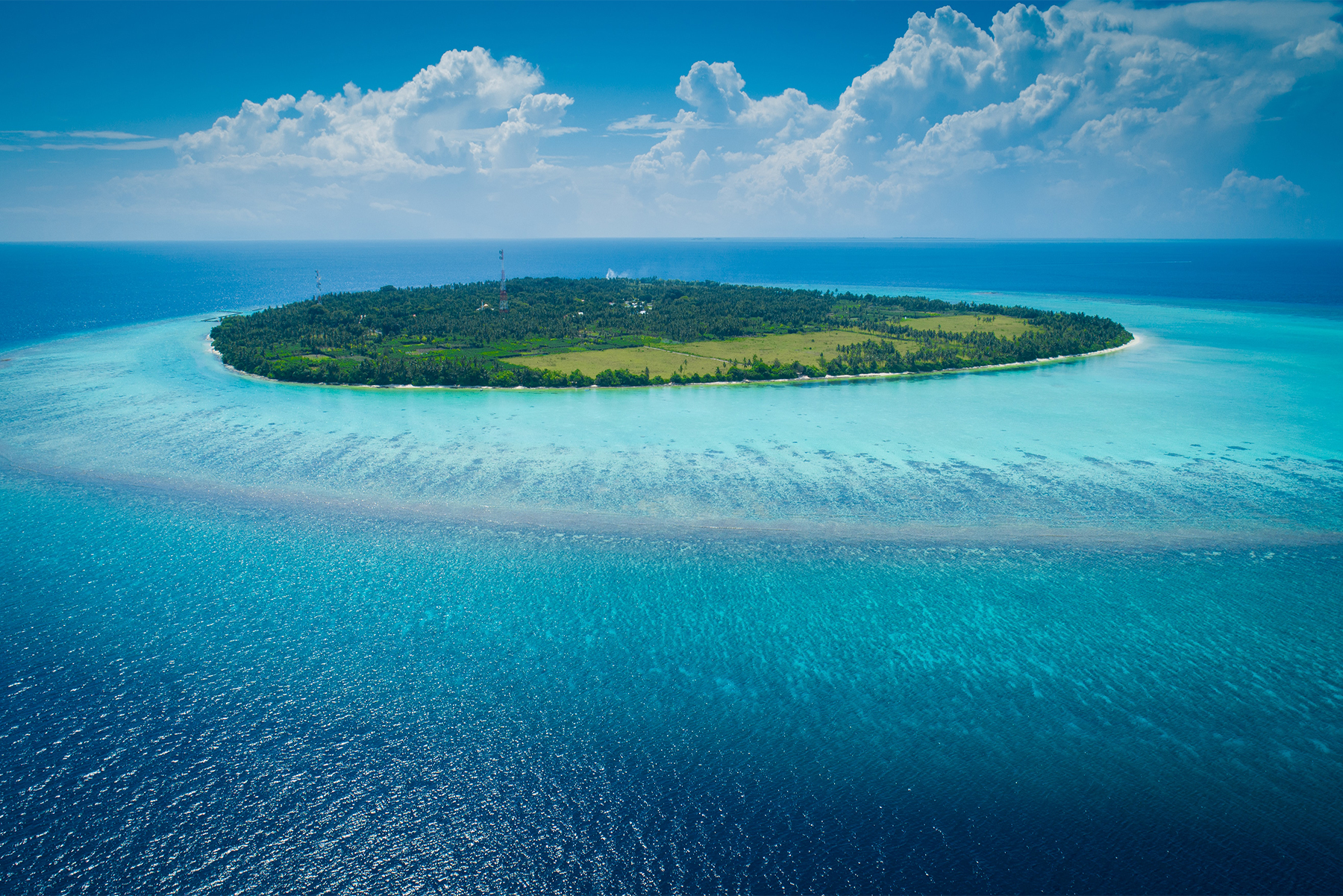 A Taste Of Paradise