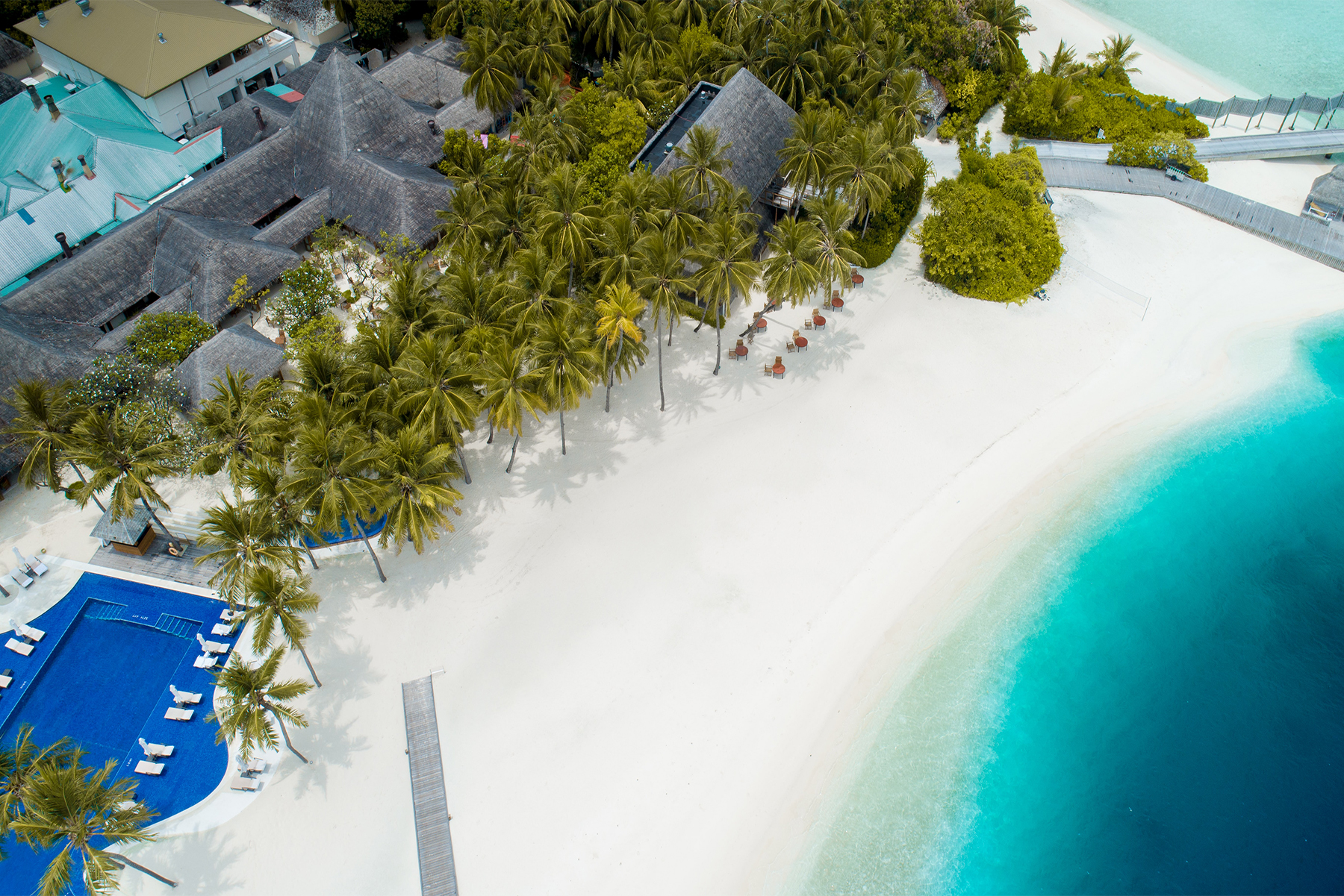 A Taste Of Paradise