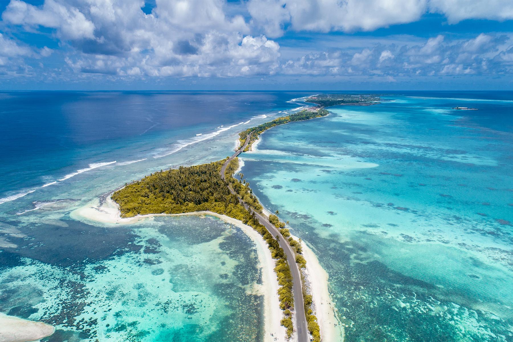 A Taste Of Paradise