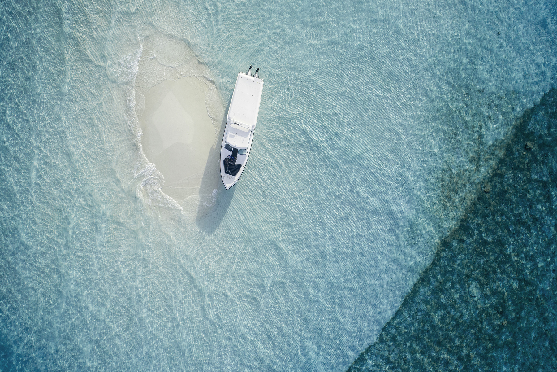 A Taste Of Paradise